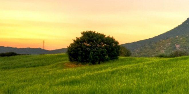 بإمكانك تحميل خلفيات للمناظر الطبيعية للآيفون عالية الجودة