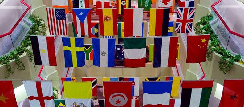 تطبيق Targem – Training on translation يدربك على الترجمة بطريقة احترافية