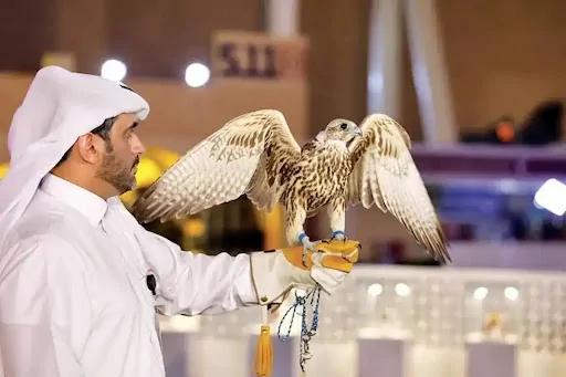 معرض الصقور والصيد السعودي الدولي 2024 .. تظاهرة تراثية تجمع هواة الصقارة والصيد
