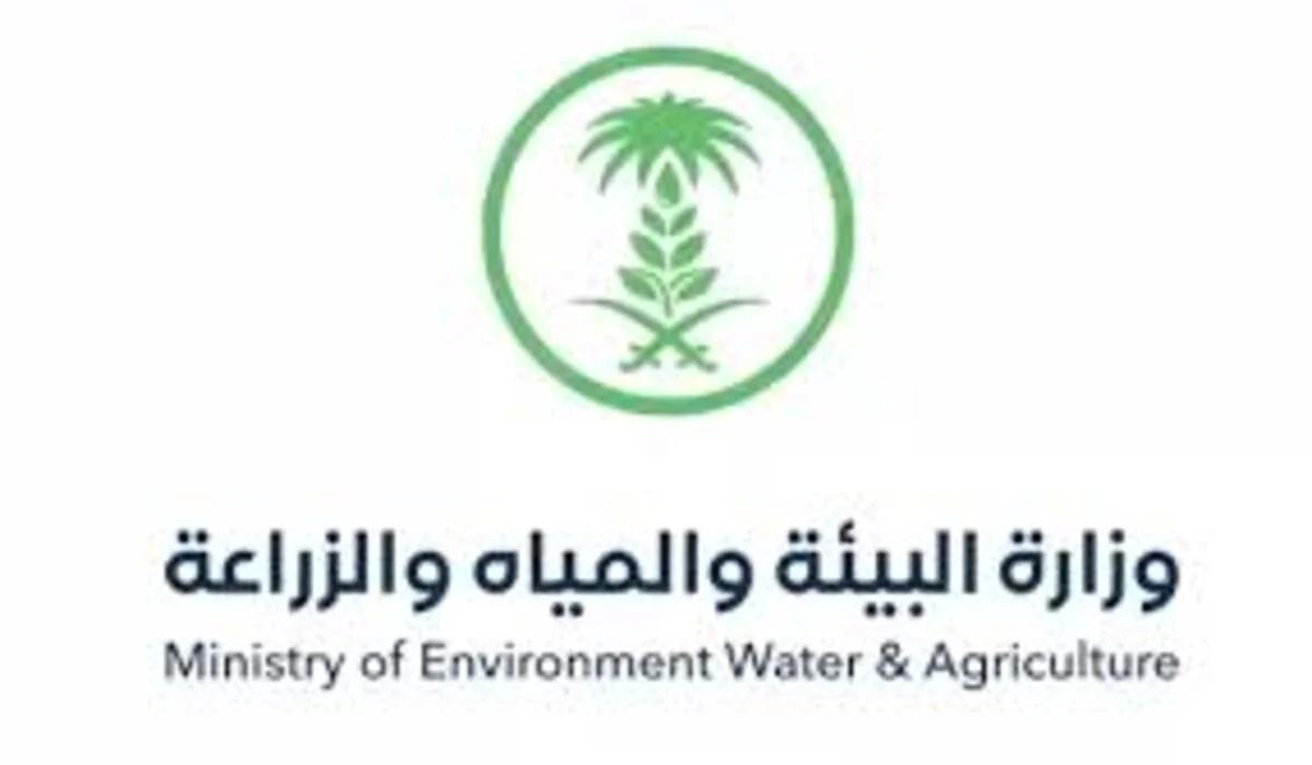 وزارة البيئة السعودية تقدم خطوات استعلام عن دعم المواشي وتضيف أهم الشروط