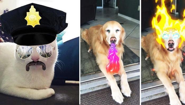 تطبيق سنابشات يأخذ مزايا الواقع المعزز إلى مستوى جديد كليا.. (فيديو)