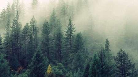 سلسلة خلفيات مختارة – خلفيات مميزة تغير مفهوم جهازك