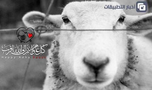عيد اضحى مبارك – تبادلوا التهاني وتعرفوا على برنامجنا خلال العيد!