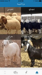 1 5 - مدونة التقنية العربية