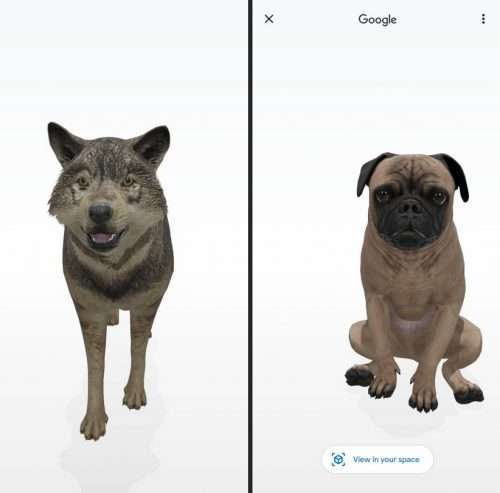 جوجل 3D Animals AR