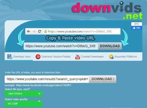DownVids Site