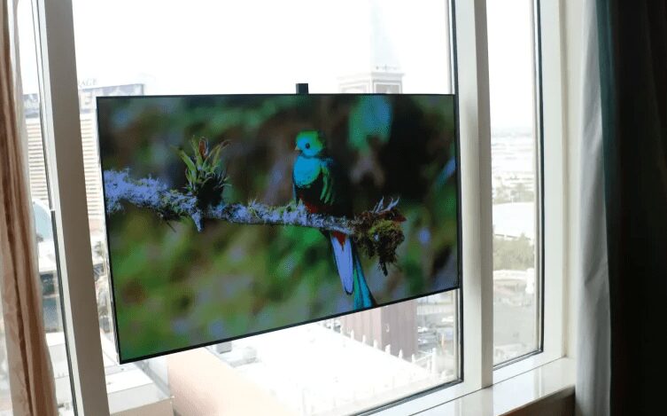 شاشة OLED لاسلكية جديدة بحجم 55 بوصة يمكن وضعها على أي جدار أو نافذة #CES2023