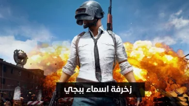 اسماء ببجي بنات فخمة - مدونة التقنية العربية