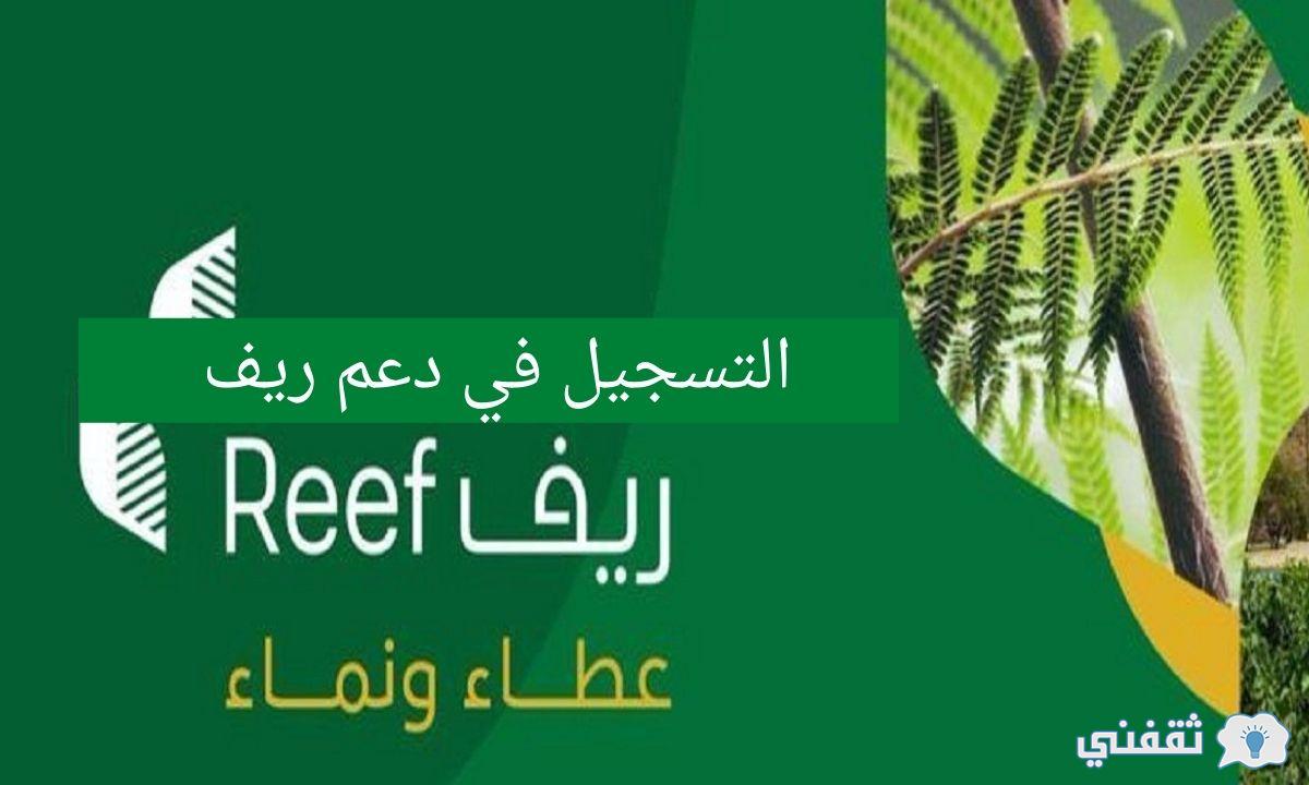 التسجيل في دعم ريف 1 4 1 - مدونة التقنية العربية