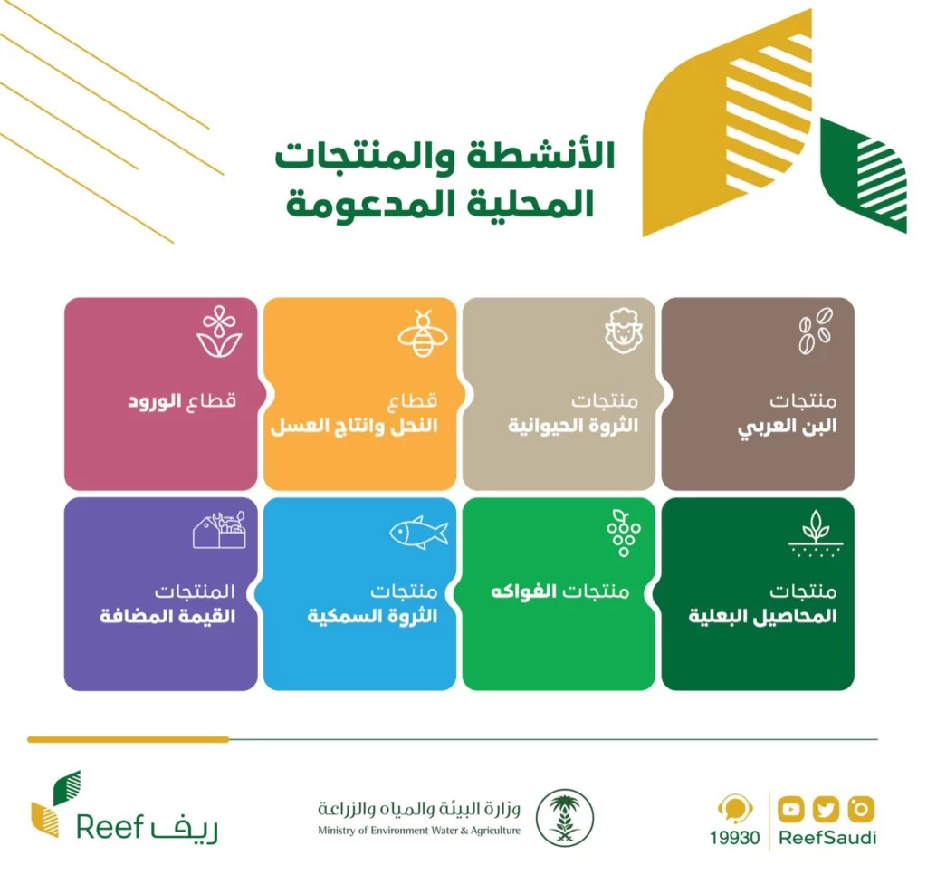 كم مبلغ دعم ريف للمستفيدين وربات البيوت.webp - مدونة التقنية العربية