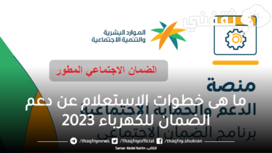 ما هى خطوات الاستعلام عن دعم الضمان للكهرباء 2023 - مدونة التقنية العربية