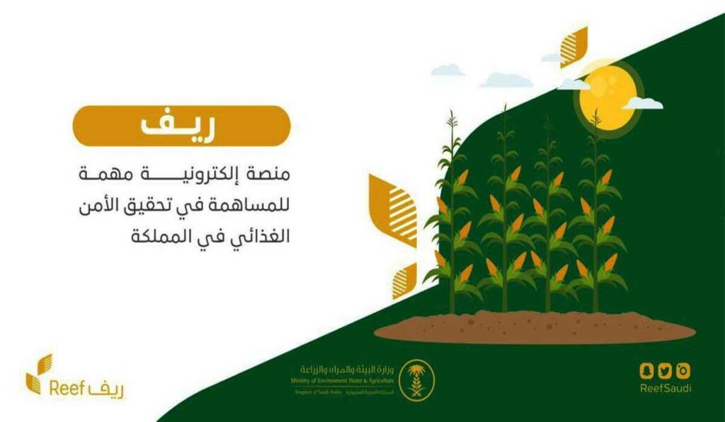 شروط استحقاق الدعم الريفي للعاطلين ورابط التسجيل1 - مدونة التقنية العربية