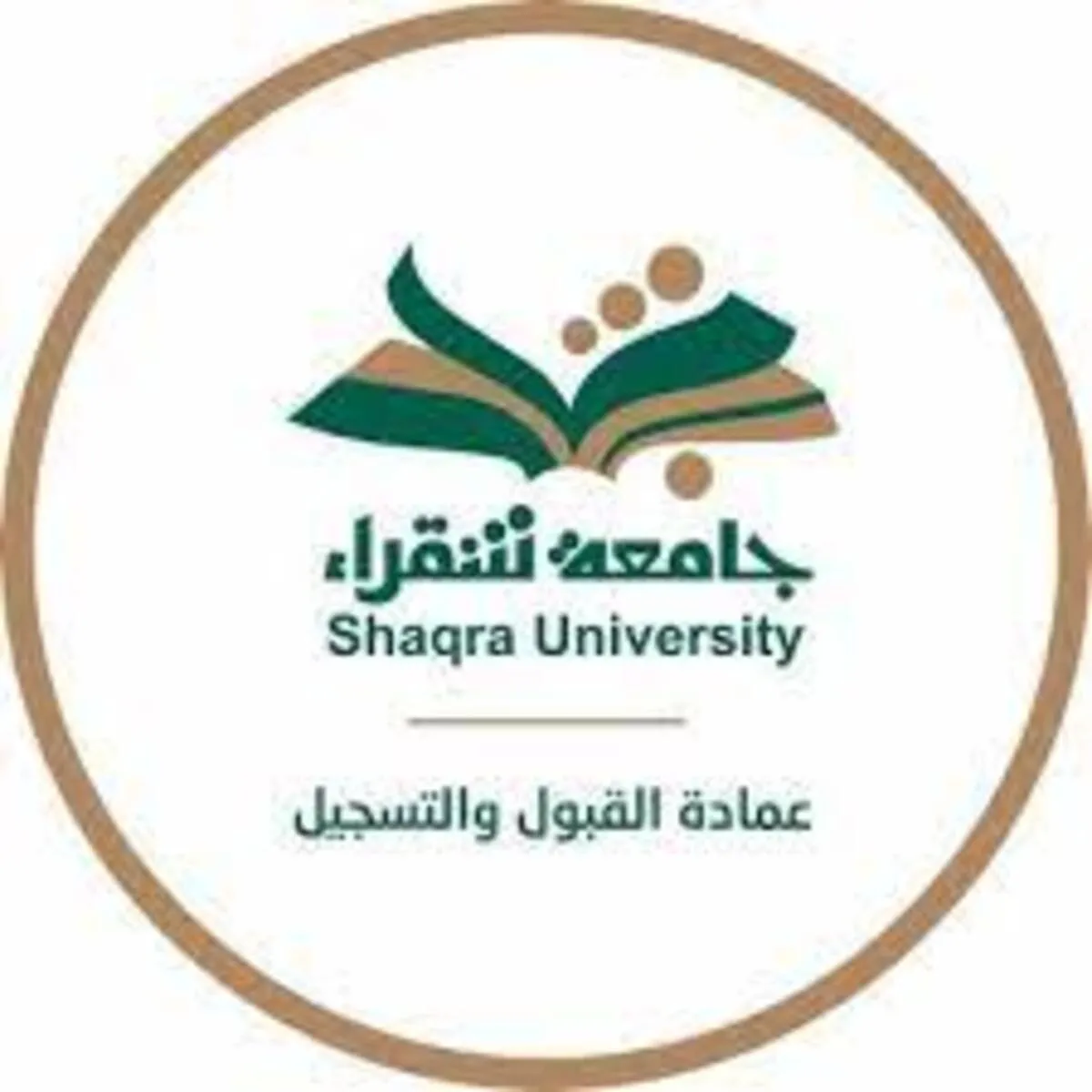 مكأفاة الطلاب جامعة شقراء 1.webp - مدونة التقنية العربية