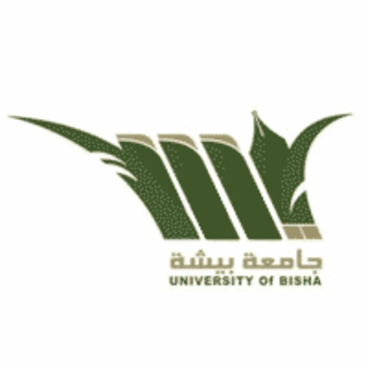 مكافآت طلاب جامعة بيشة 1.webp - مدونة التقنية العربية