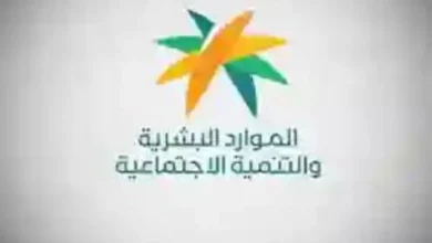 عودة القطاع الحكومي للعمل 1.webp - مدونة التقنية العربية