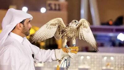 معرض الصقور والصيد السعودي الدولي 2024 - مدونة التقنية العربية